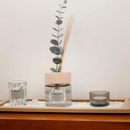 Sea House Apartament São Vicente Ferreira